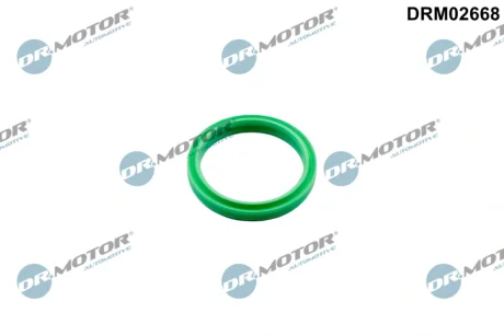 Кільце гумове DR.MOTOR DRM02668