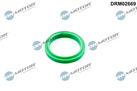 Кільце гумове DR.MOTOR DRM02669