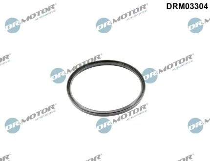 Кільце гумове DR.MOTOR DRM03304