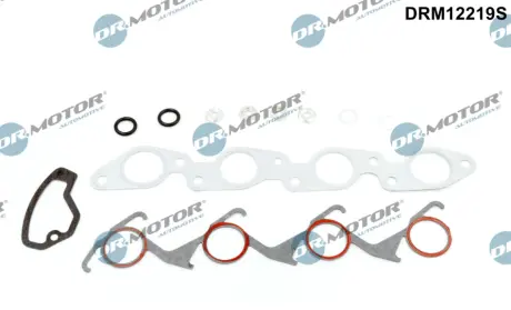 Комплект прокладок з різних матеріалів DR.MOTOR DRM12219S