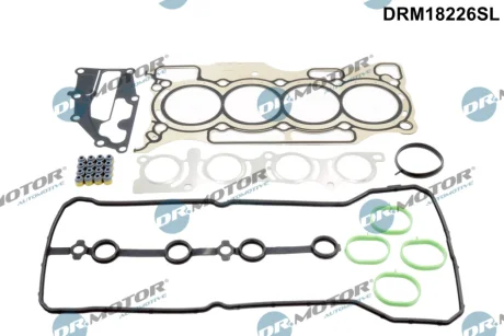 Комплект прокладок з різних матеріалів DR.MOTOR DRM18226SL