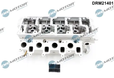 Головка блока DR.MOTOR DRM21401
