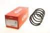 Пружина (передня) Ford Kuga I 2.0TDCi 4x4 08-12 (SUV) EIBACH R10369 (фото 1)
