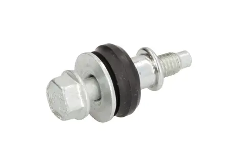 Болт кришки головки циліндра MAN, AUDI A3 ELRING 006.420