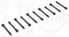 Болти головки (к-кт 10шт.) Hyundai Accent/Kia Rio 1.4/1.6 CVVT 05- ELRING 075.420 (фото 1)