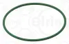 Прокладка випускного/впускного колектора CHRYSLER GRAND VOYAGER V, VOYAGER V DODGE NITRO JEEP CHEROKEE, WRANGLER III LANCIA VOYAGER 2.8D 10.06- ELRING 284.500 (фото 1)