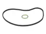 Прокладка помпи води BMW 5 (E60)/7 (E65/E66/E67/F01-F04) 01-15 N62/N73/N74 ELRING 359.200 (фото 1)