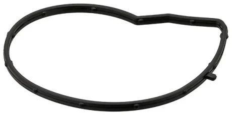 BMW Прокладка водяного насоса 1 (F20) 114 i 12-15 ELRING 387.590