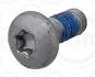 Болт зливу оливи Audi/Seat/Skoda/VW (M6x16) Elering 534.650 (фото 1)