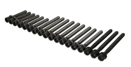 Набір болтів ГБЦ SEAT TOLEDO II VW BORA, BORA I, GOLF IV, PASSAT B5 2.3 10.96-06.06 ELRING 804.860