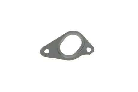 Прокладка помпи води Land Rover Defender/Discovery/Range Rover 3.0/5.0 09- ELRING 886.800