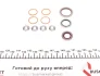 Комплект прокладок (верхній) Citroen Berlingo/Peugeot Partner 1.9D DW8 98- (без ГБЦ) Elering 896.710 (фото 15)