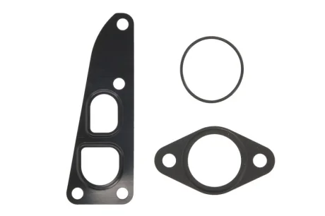 DB прокладки системи AGR W203, W211, W639 Elering 934.920
