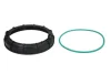 Елементи паливного насоса ((en) nut, fastening ring for fuel pump, прокладка) CITROEN BERLINGO, BERLINGO MULTISPACE, C2, C3 I, C3 II, C3 PICASSO, C3 PLURIEL, C4, C4 GRAND PICASSO I 1.1-3.0D 06.94- Engitech ENT100502 (фото 1)