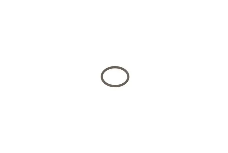 (EN) O-ring for CR injector body - fuel pressure sensor on CR rail BOSCH (п"єзофорсунки Bosch, внутрішній діаметр 16мм, зовнішній діаметр 19мм, товщина 1,5мм) MERCEDES SPRINTER 3 1.6D-4.2D 05.03- Engitech ENT250245 (фото 1)