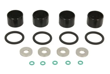 Набір ущільнень DELPHI 2.0 HDI/DW10 ((EN) with body o-ring) DS DS 5 CITROEN C4 GRAND PICASSO I, C4 II, C4 PICASSO I, C4 PICASSO II, C5 III, C8, DS4, DS5, JUMPY I, JUMPY II 2.0D/2.0DH 07.00- Engitech ENT250503