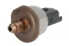 Датчик тиску палива DACIA DOKKER, DUSTER, LODGY NISSAN JUKE, QASHQAI II RENAULT CAPTUR I, CLIO IV, GRAND SCENIC III, KANGOO EXPRESS, KANGOO II, MEGANE III, SCENIC III 1.2 03.12- Engitech ENT260031 (фото 1)