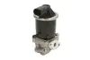 Клапан EGR SEAT AROSA, IBIZA II VW LUPO I, POLO, POLO III CLASSIC 1.0/1.4 09.93-07.05 ENGITECH ENT500083 (фото 1)