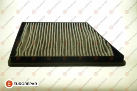 8421392500 Ф?ЛЬТР САЛОНА EUROREPAR 1631811380