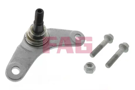 Опора кульова (передня/знизу/R) Mini Cooper 01-06 (R50/R52/R53) FAG 825 0207 10