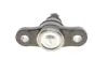 Опора кульова (передня/знизу) Hyundai Tucson/Kia Sportage 04- FAG 825 0264 10 (фото 4)