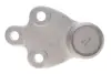 Опора кульова (передня/знизу) Ford Focus 18- FAG 825 0454 10 (фото 4)