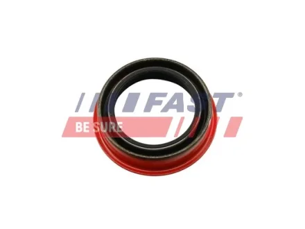 Сальник півосі Ford Transit 00-/Connect 02- (40x55/62x13) FAST FT49851