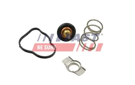 Термостат MB W176/Citan/ Renault Clio/Kangoo/Megane 1.5 D/dCI/Cdi 09- (83C) Fast FT58042