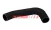 Патрубок інтеркулера Ducato/Boxer/Jumper 3.0HDI 06- (нижн.) Fast FT61789 (фото 1)