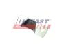 Направляюча зсувних дверей Ducato 94- (нижній) Fast FT95209 (фото 2)