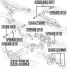 Важіль AUDI A1, A3, SEAT LEON, VW GOLF V-VI 03- зад. міст ліворуч FEBEST 2325-1K0LH (фото 2)