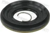 Сальник приводу (48.7x100.4x10x14.9) BMW TOURING 3.0 99- Febest 95PES-501001015C (фото 1)