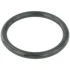 Прокладка дросельної заслінки Megane/Duster/Logan 05- Febest RINGAH-009 (фото 1)