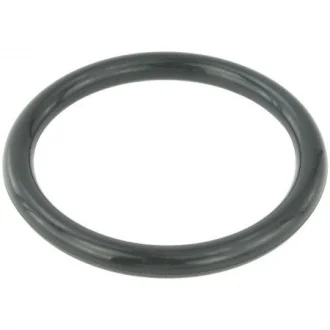 Прокладка дросельної заслінки Megane/Duster/Logan 05- Febest RINGAH-009