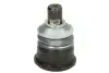 Опора кульова (передня/знизу) MB E-class (W124) 86-96 FEBI BILSTEIN 02380 (фото 1)