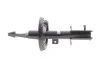 Амортизатор (передній) Citroen Jumpy/Fiat Scudo/Peugeot Expert 07- (L) Febi Bilstein 1002705 (фото 5)