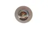 Термостат Ford Transit Courier/Fiesta/Focus/Mondeo 1.0/1.1 14- (92°C) FEBI BILSTEIN 106104 (фото 4)