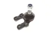 Опора кульова (передня) Nissan Terrano II 92-02 FEBI BILSTEIN 15269 (фото 3)