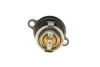 Термостат Ford Transit Connect/Fiesta 1.0 EcoBoost 13- (50°C) Febi Bilstein 173939 (фото 5)