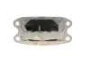 Подушка двигуна (L) BMW X1 (F48)/X2 (F39) 15- B37/B38/B47/B48 FEBI BILSTEIN 176007 (фото 3)