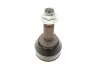 ШРКШ (зовнішній) Ford Connect 1.8DI 02- (25x24x156.5) FEBI BILSTEIN 176800 (фото 5)