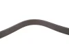 Ремінь генератора BMW 3 (G20/G80/G28)/5 (G30/F90)/X5 (G05/F95) 3.0d (B57) 20- (8PK1122) Febi Bilstein 179891 (фото 3)