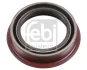 FEBI Сальник дифференціалу 13*40*55 Febi Bilstein 180699 (фото 1)