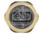 Датчик тиску масла BMW X5 (E70)/X6 (E71/E72) 2.5-3.0i (N55/N54) 07- Febi Bilstein 182656 (фото 2)