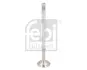 Клапан (впуск) Fiat Panda/Punto/Tipo 1.3D 09- (22.45x5.98x109.2) FEBI BILSTEIN 186246 (фото 1)