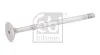 Клапан (впуск) Fiat Panda/Punto/Tipo 1.3D 09- (22.45x5.98x109.2) FEBI BILSTEIN 186246 (фото 2)