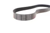 FEBI SUZUKI Поліклиновий ремінь 7PK970 VITARA (LY) 1.0 18- Febi Bilstein 188682 (фото 4)