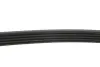 Ремінь генератора Fiat Doblo 1.4 05- (5PK1145) FEBI BILSTEIN 28856 (фото 3)