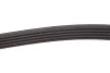 Ремінь 5PK1153 Febi Bilstein 28857 (фото 3)