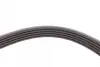 Ремінь генератора Audi A4/ A6/ VW Passat 1.9 TDI 95-01 (5PK1590) FEBI BILSTEIN 28882 (фото 3)